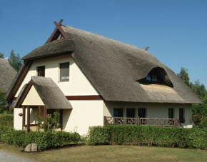 Zum Froschkönig, Ahrenshoop